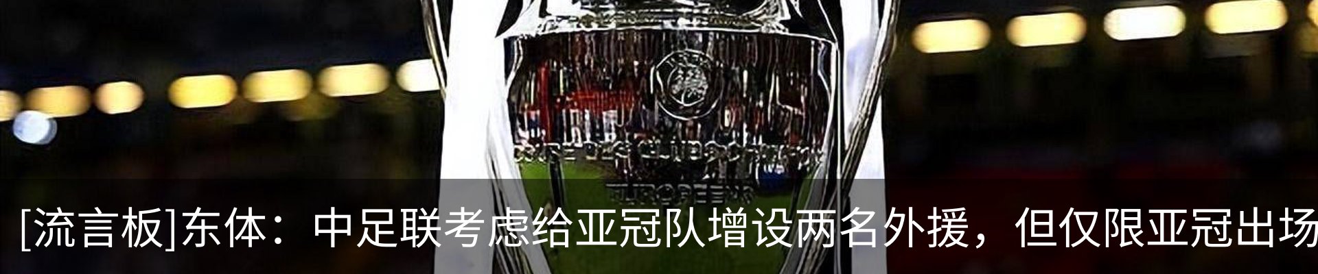新闻动态